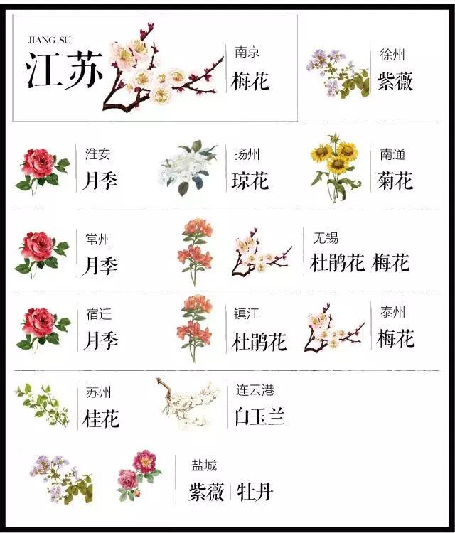 全国各个城市的市花一览表,十大城市的市花