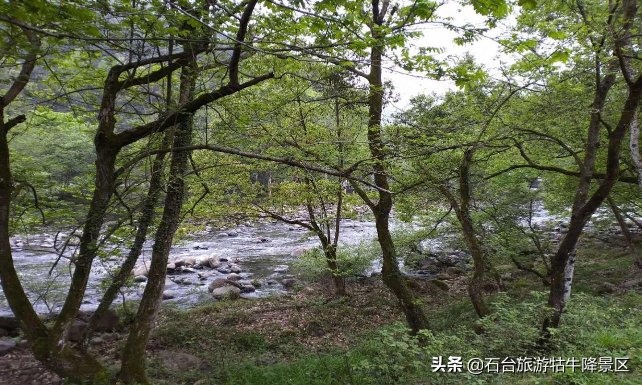 来一场说走就走的旅行诗和远方,美在山水间来一场说走就走的旅行