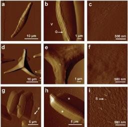 <html>
<head><title>502BadGateway</title></head>
<body>
<center><h1>502BadGateway</h1></center>
<hr><center>nginx</center>
</body>
</html>
<!--apaddingtodisableMSIEandChromefriendlyerrorpage-->
<!--apaddingtodisableMSIEandChromefriendlyerrorpage-->
<!--apaddingtodisableMSIEandChromefriendlyerrorpage-->
<!--apaddingtodisableMSIEandChromefriendlyerrorpage-->
<!--apaddingtodisableMSIEandChromefriendlyerrorpage-->
<!--apaddingtodisableMSIEandChromefriendlyerrorpage-->
