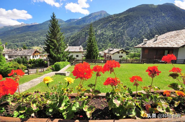 为什么不做媒人做三代好,古语不做媒人