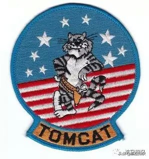 美国f14雄猫战斗机视频,最后的f-14雄猫战斗机