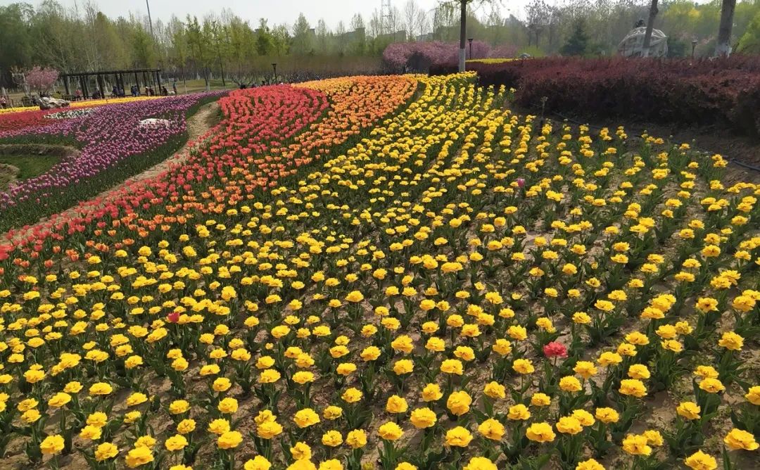 北京房山团建踏青地点推荐,北京房山春季旅游最佳去处