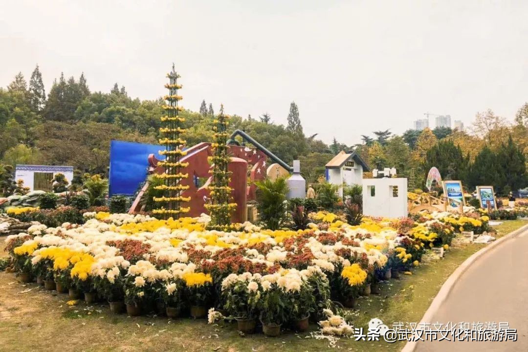 花点时间武汉东湖樱花园,武汉花点时间