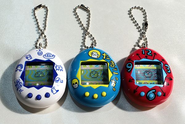 世界上速度最快的刺猬,世界上跑得最快的刺猬第二季