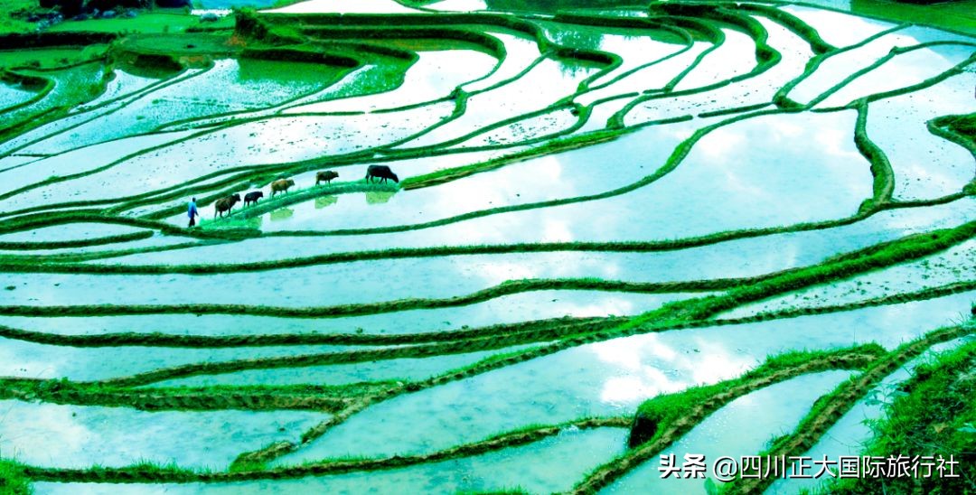 浙江十大海边露营地排名,10大星空露营地