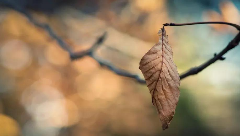 四个人的友情总有一个人多余,三人的友情总有一个人是多余的