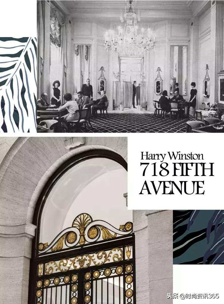 harrywinston钻石之王,harrywinston钻石