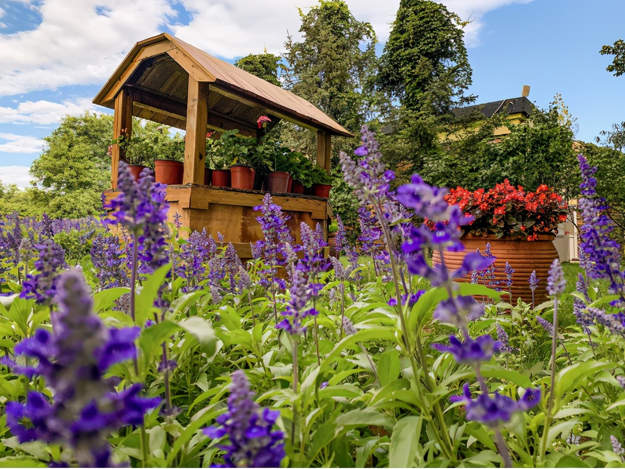 花溪沐汤泉北京网红打卡基地,春节北京夜晚十大网红打卡点