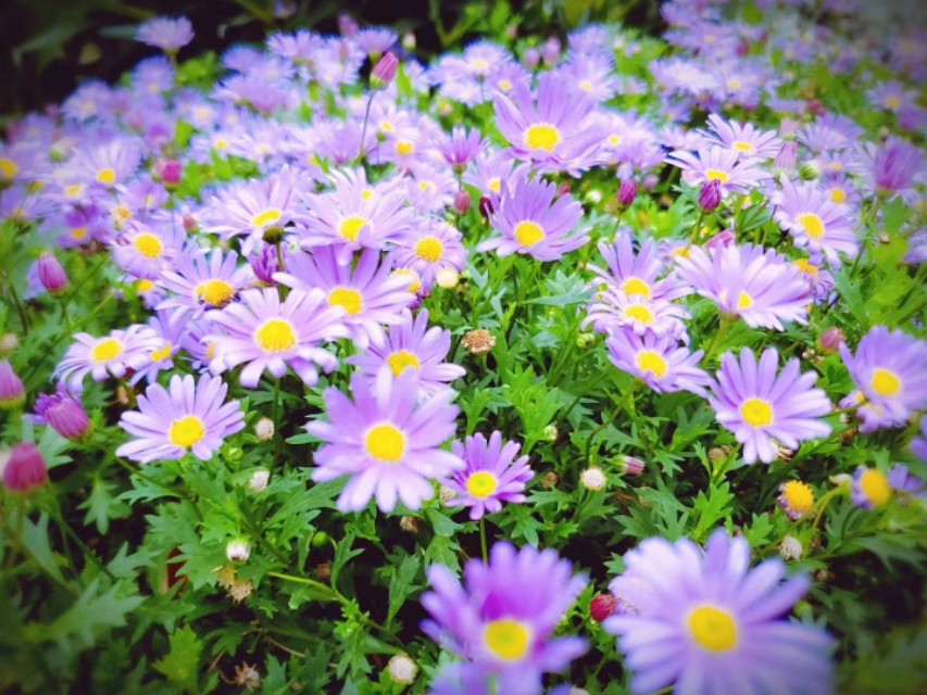 楗眬楂樻儏鍟嗙殑濂崇敓琛ㄧ幇,楂樻儏鍟嗙殑鍗佺琛ㄧ幇缁忓吀