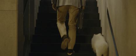 今天奥斯卡电影,今天奥斯卡