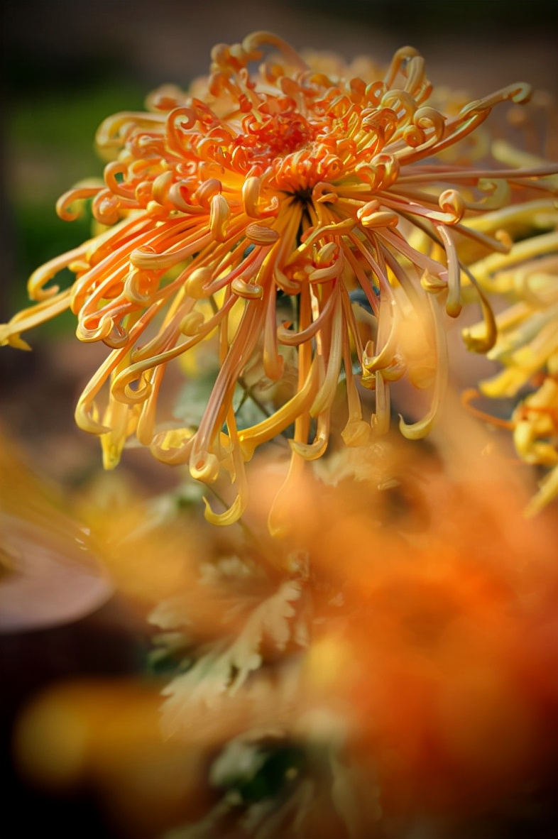 原创诗词14首,经典诗词36首