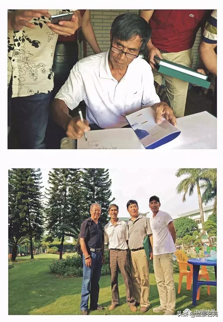 陈文图榕树欣赏,陈文图盆景