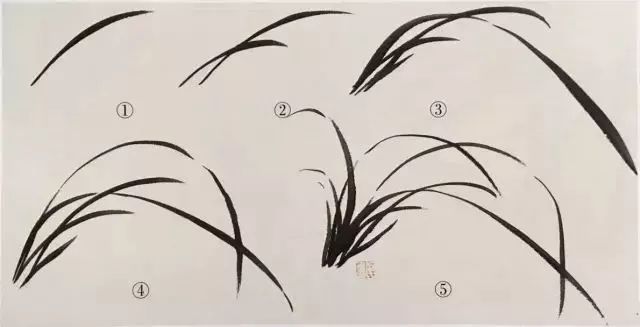 如何画兰花图片大全大图,怎么样画兰花才能好看