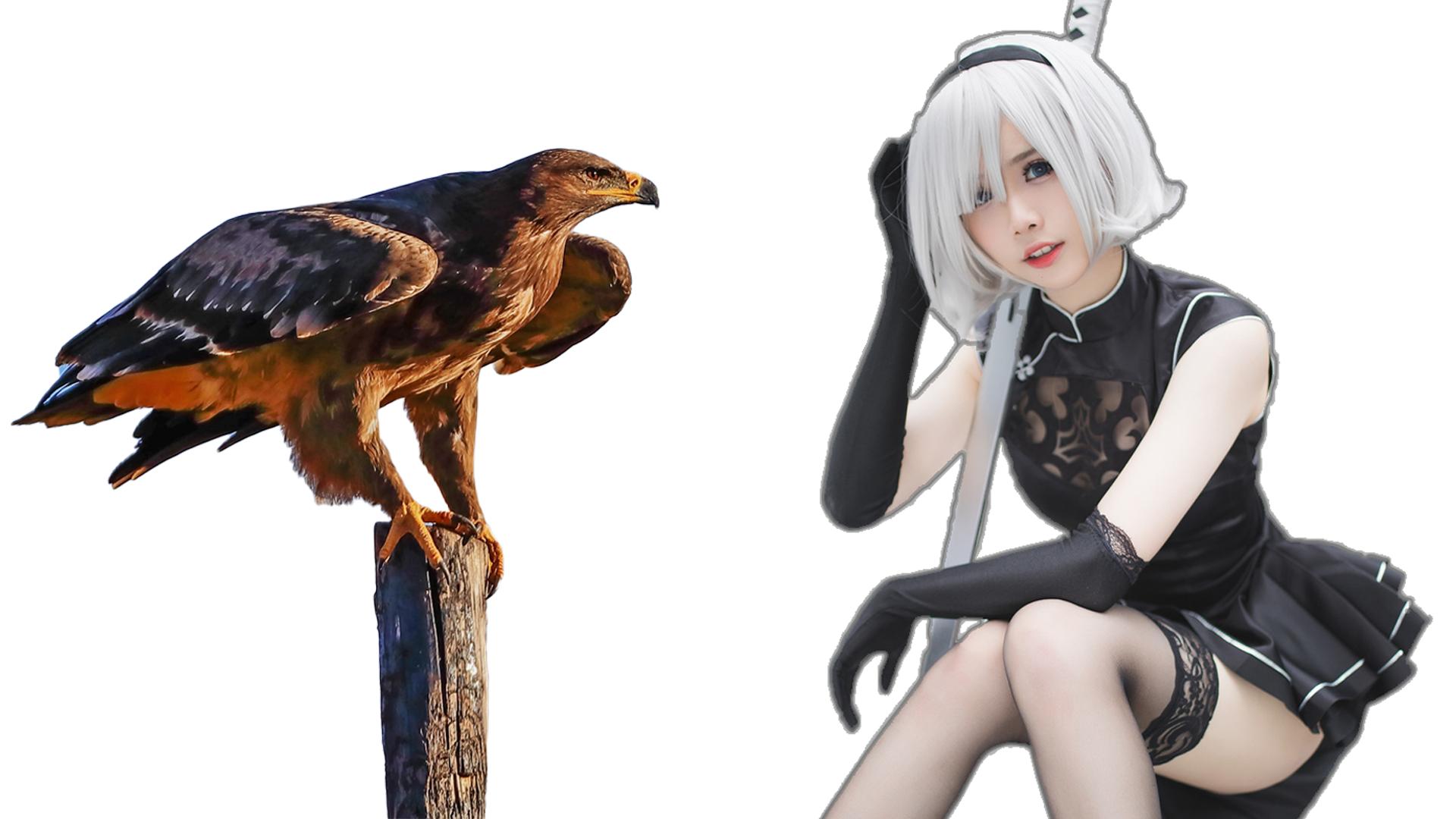 人的眼睛在动物界的水平,人的视力在动物界排名