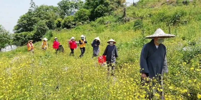 抢抓农时开展农业生产,农民纷纷抢抓春耕生产有利时机