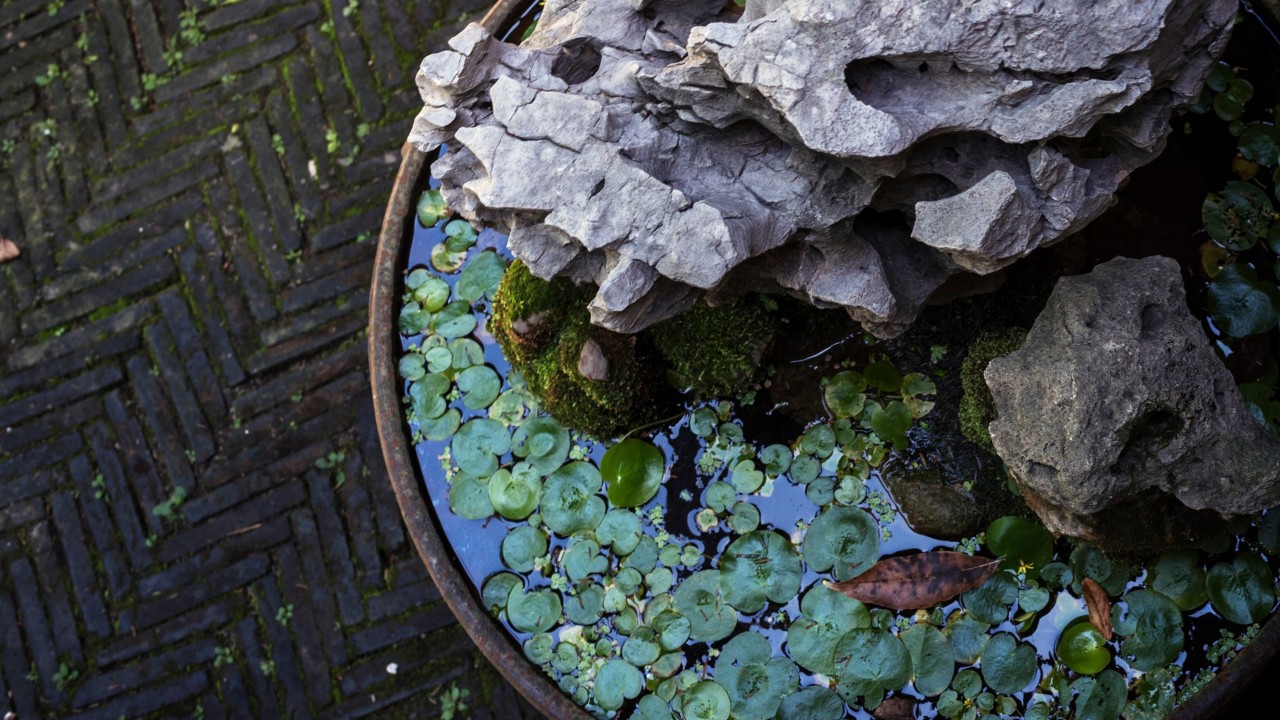 春暖花开等风等雨也等你诗词,10首最美秋夜诗词