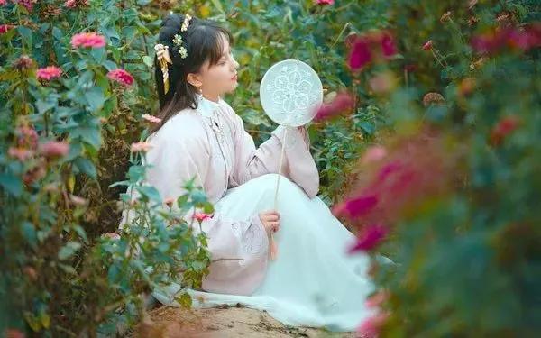 南沙葵园花海景区,广州南沙万顷葵园最佳旅游时间