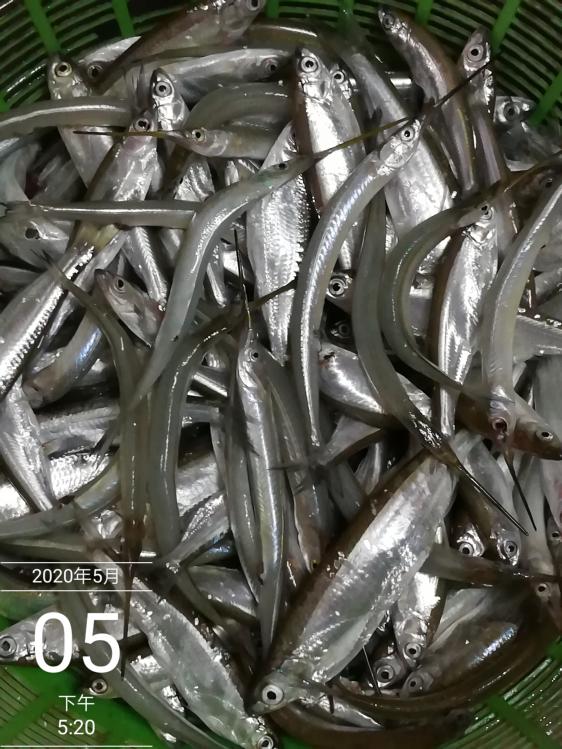 本汀神乐鱼竿暴强版,本汀神乐暴强硬7.2米鱼竿