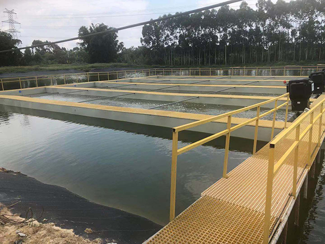 池塘出现绿色泡沫怎样处理,养殖池塘下风口有泡沫