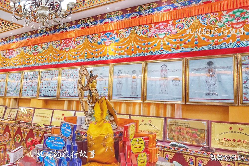 探秘神奇的雪域瑰宝藏医药,探秘神秘医院