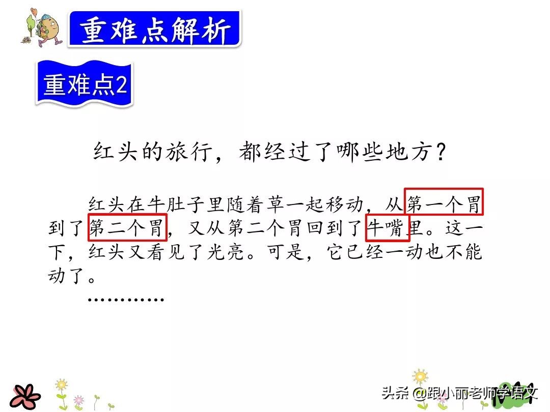 三年级在牛肚子里旅行的中心思想,三上语文在牛肚子里旅行课文讲解