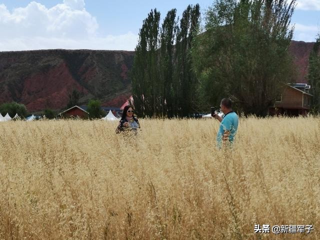 美丽塔村风景,走进傣族村寨领略傣家风情