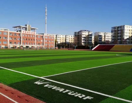 viva深度解析,威腾免填充草坪系统