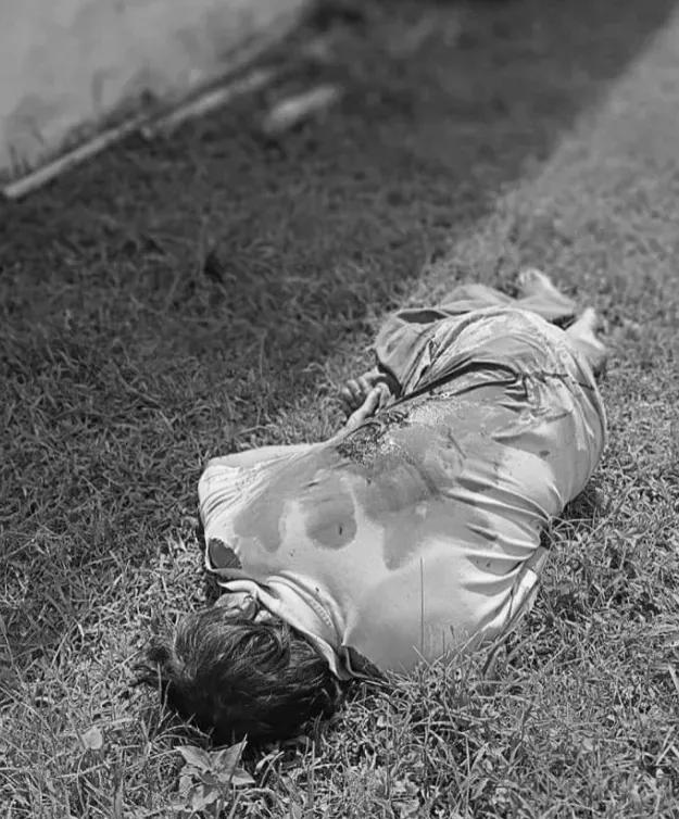 缅北发财梦是什么,缅北发财梦故事