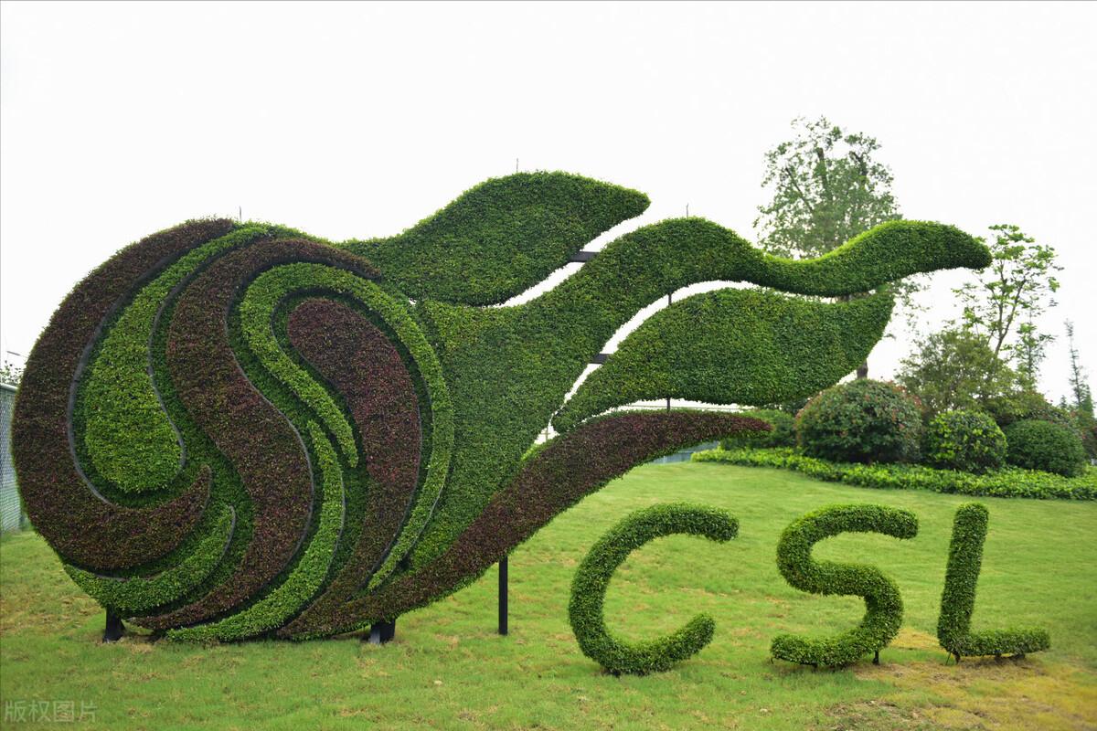 中超十大标王,中超十佳球星