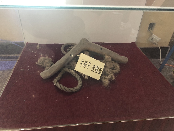 吉林榆树乡村振兴,吉林榆树农业全景