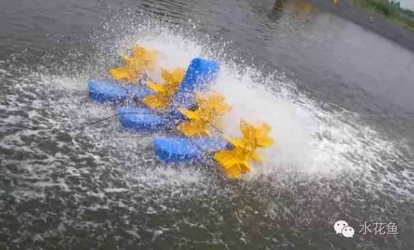 纯氧对水产养殖的影响,水产养殖缺镁吗