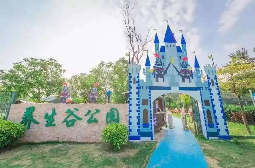 广州出发自驾3小时内的旅游胜地,广州出发值得去的山