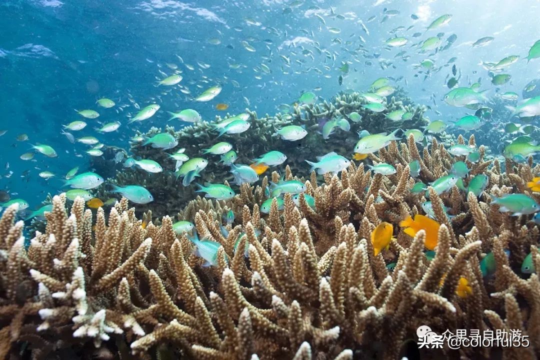 北京往返巴厘岛最便宜机票多少钱,直飞巴厘岛打折机票怎么买