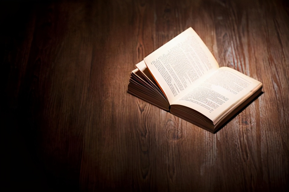 龙文区最近判刑名单,龙文法院判决结果