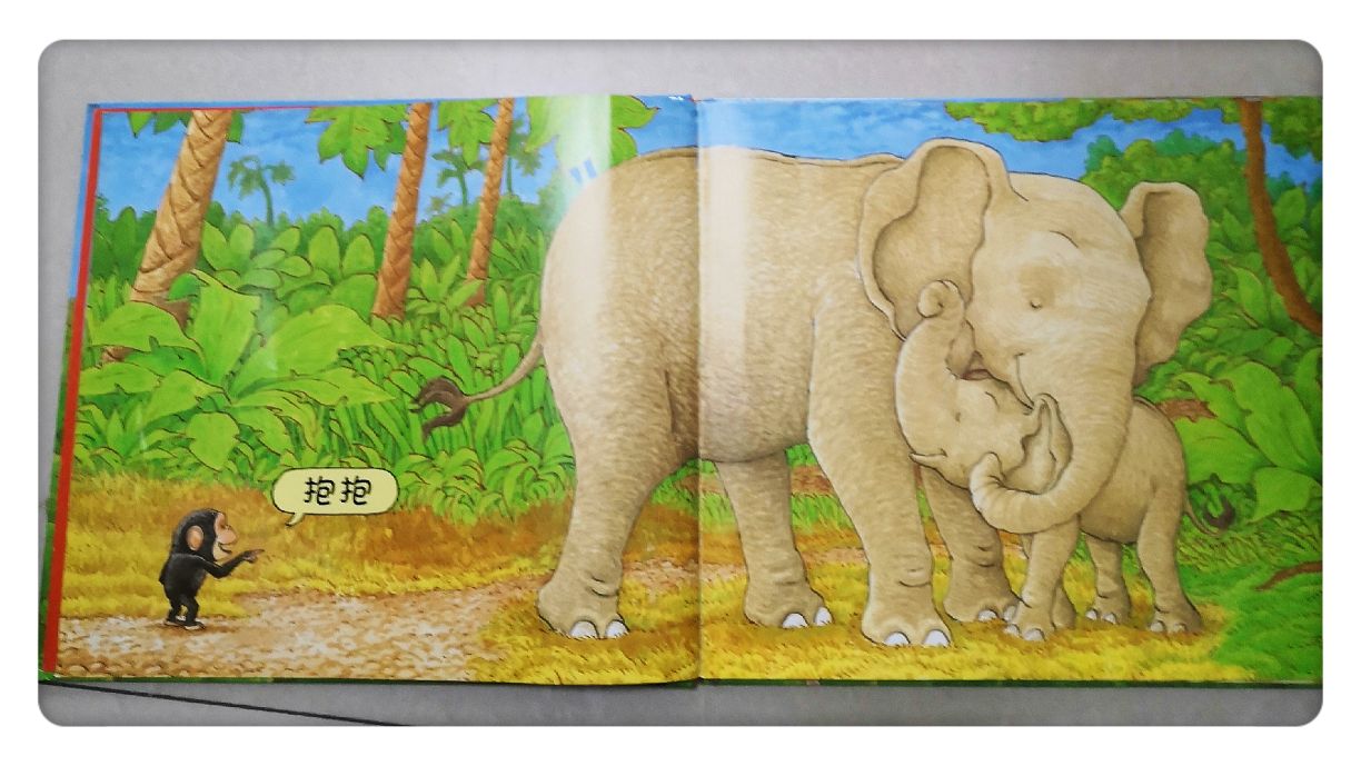 缁樻湰鏁呬簨鎶辨姳濡備綍绮捐,鎶辨姳缁樻湰鍏ㄩ儴鍥剧墖