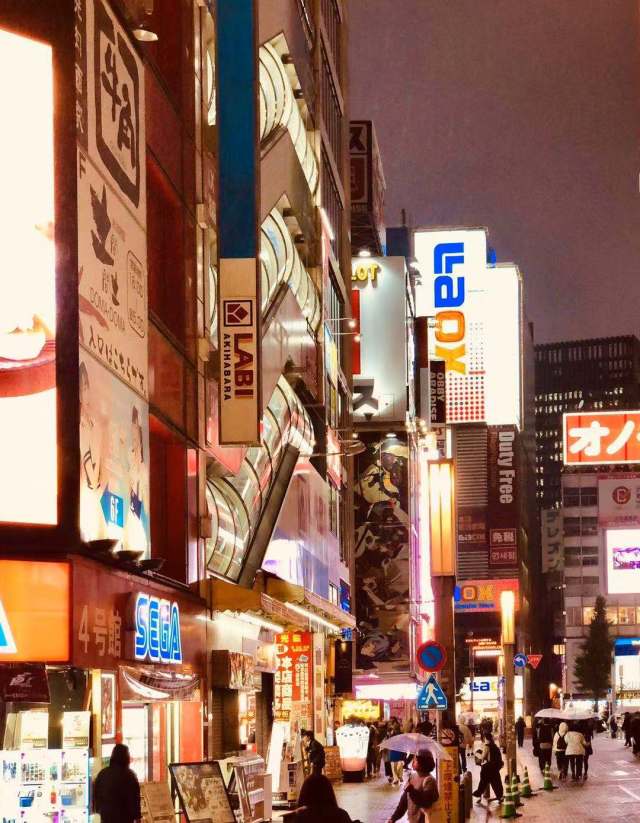 东京到镰仓和箱根攻略,东京箱根富士山镰仓