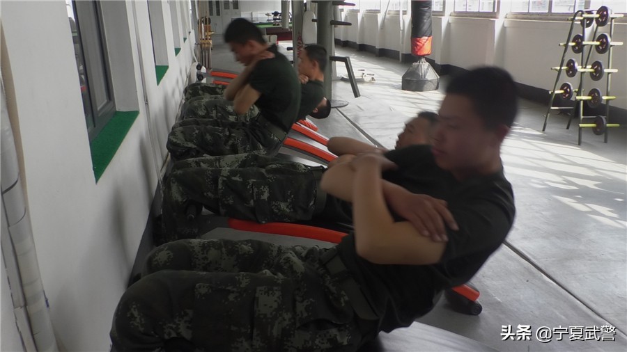 训练要求不严格的表现,训练场地受限怎么说