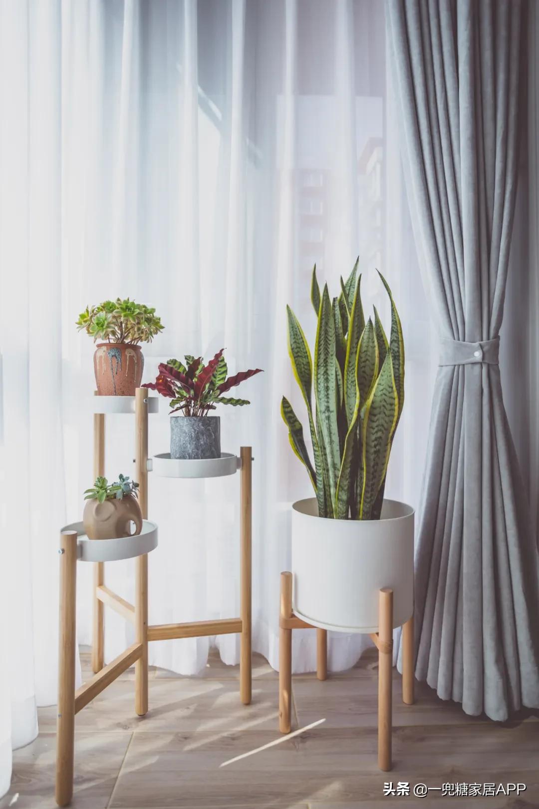 48平米小餐厅,双人小包厢餐厅可看电影