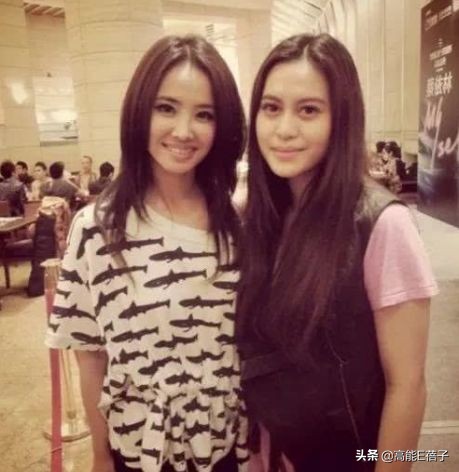 璞棬鍐嶈捣椋庝簯,棣欐腐璞棬涓変唬鍚嶅獩