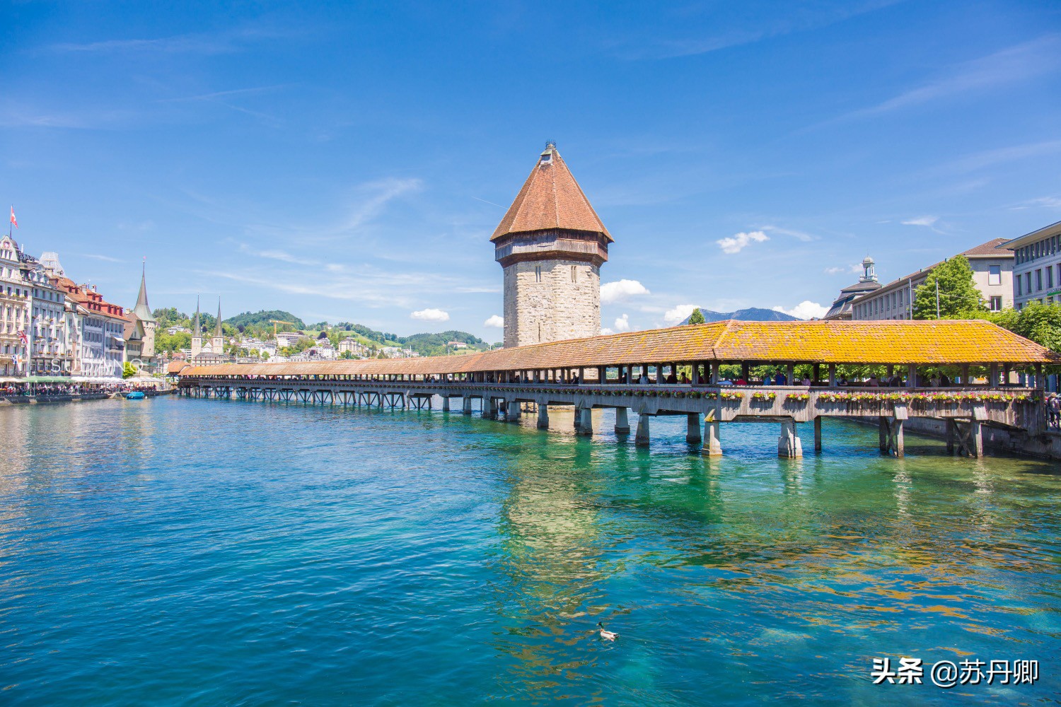 塞尔维亚是对中国免签的欧洲国家,塞尔维亚去欧洲免签么