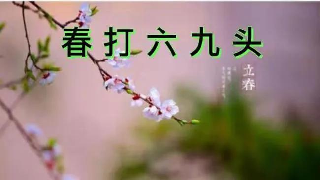 立春的具体时间是如何确定的,立春将至别忘了吃6道立春菜