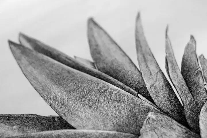 小央美水墨画作品欣赏,小央美人物画