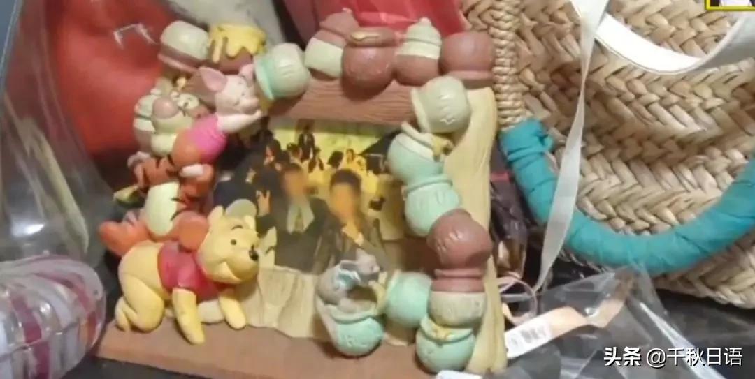 日本综艺沙雕挑战动物,日本沙雕综艺接触野生动物