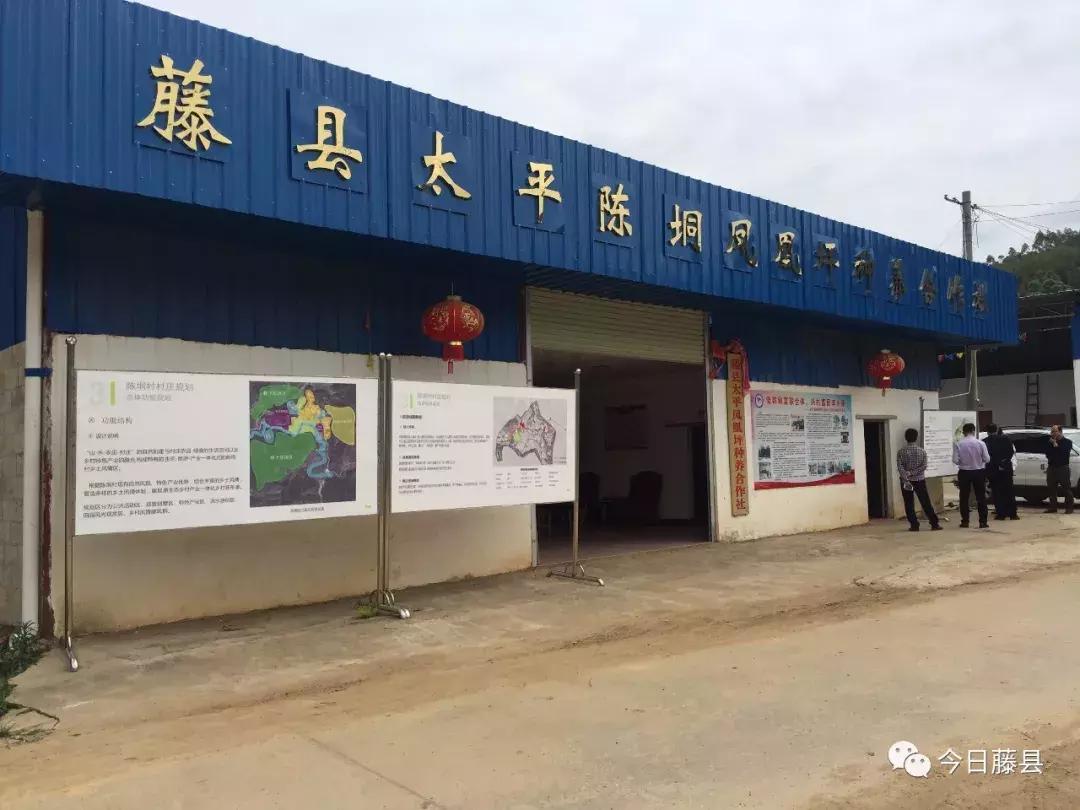 魅力凤凰烟花,魅力凤凰山