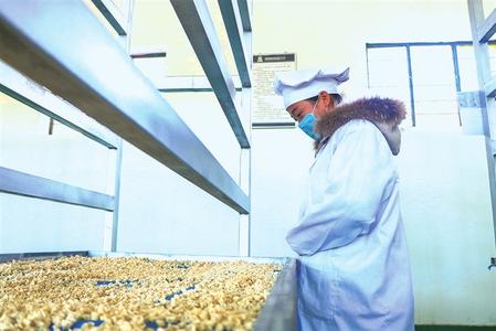 武威发展与生态文明建设,奋力谱写新时代生态文明新篇章