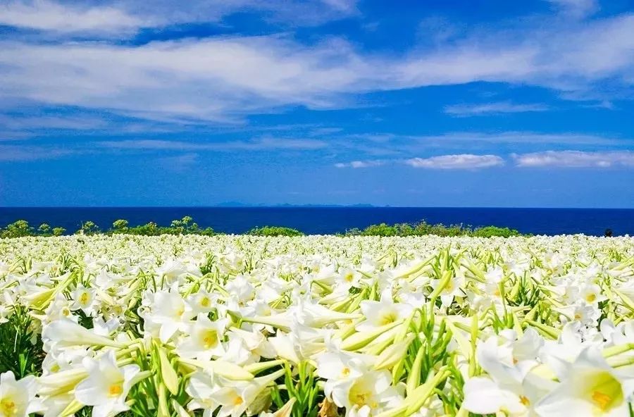 冲绳有啥,冲绳有没有啥