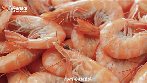 来乐亭，尝秋天的第一口“鲜”儿