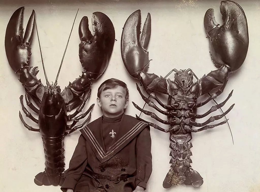 他用罪恶对抗悲惨命运，生理缺陷活被当成杀人利器