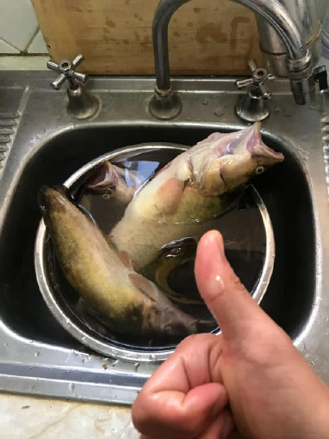 在澳洲的生活是一种怎样的体验：这边的人很懒，非常喜欢钓鱼