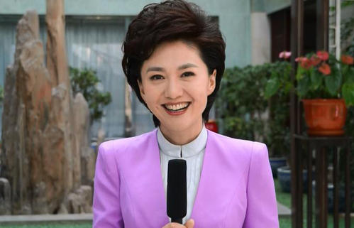 新闻联播主持人海霞十年前的变化,央视新闻联播主持人海霞哪去了